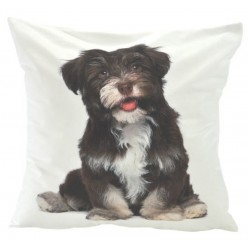 Povlak na polštář fototisk - vzor 5399